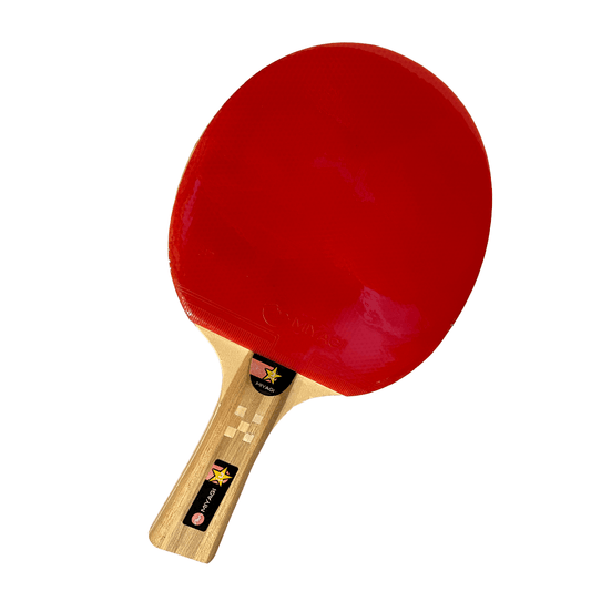 Raqueta Tenis De Mesa 3 Estrellas 90303 - MIYAGI COLOMBIA