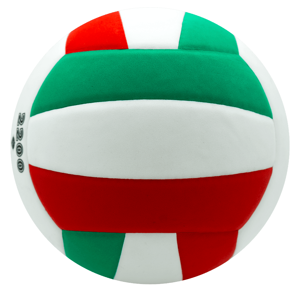 Balón de Voleibol V5C2200 – Entrenamiento y Formación Deportiva - MIYAGI COLOMBIA