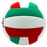 Balón de Voleibol V5C2200 – Entrenamiento y Formación Deportiva - MIYAGI COLOMBIA