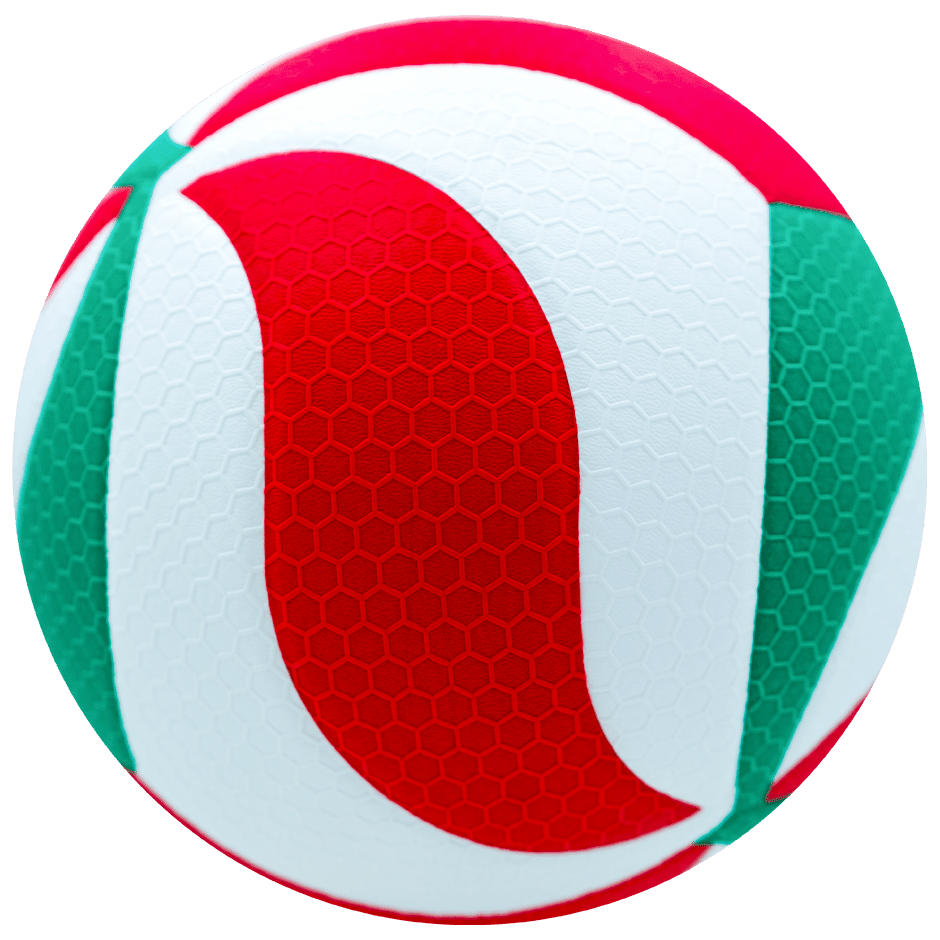 Balón de Voleibol V5M5000 – Oficial FIVB Profesional de Competencia - MIYAGI COLOMBIA