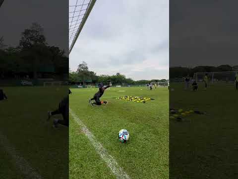 Reactor Rápido Para Balón MAPB010